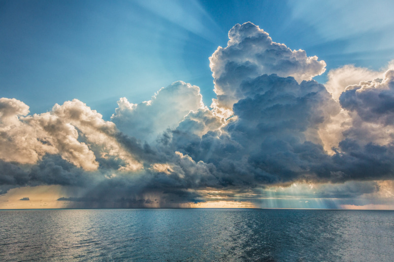 20120820prsnlwrkDMW_9600-1248