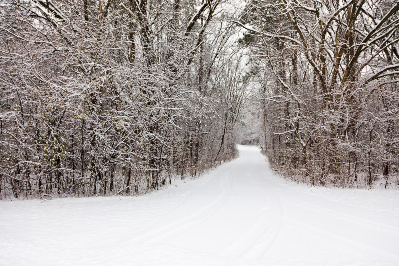 20101204GUMMOWPARKS0003