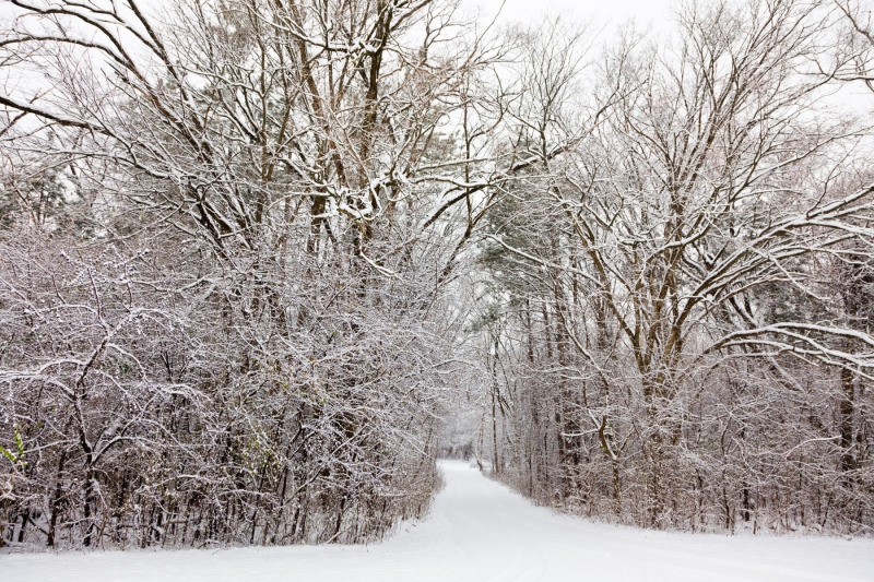 20101204GUMMOWPARKS0009