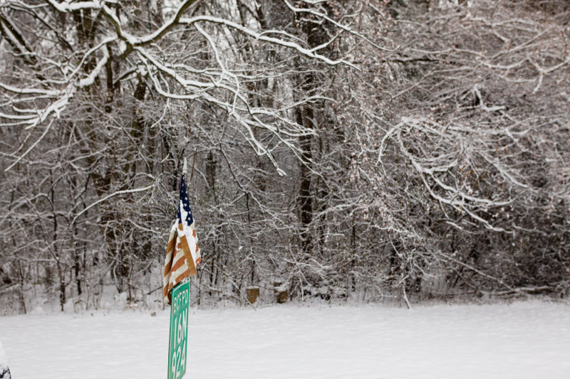 20101204GUMMOWPARKS0016