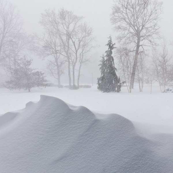 20110202blizzard119810