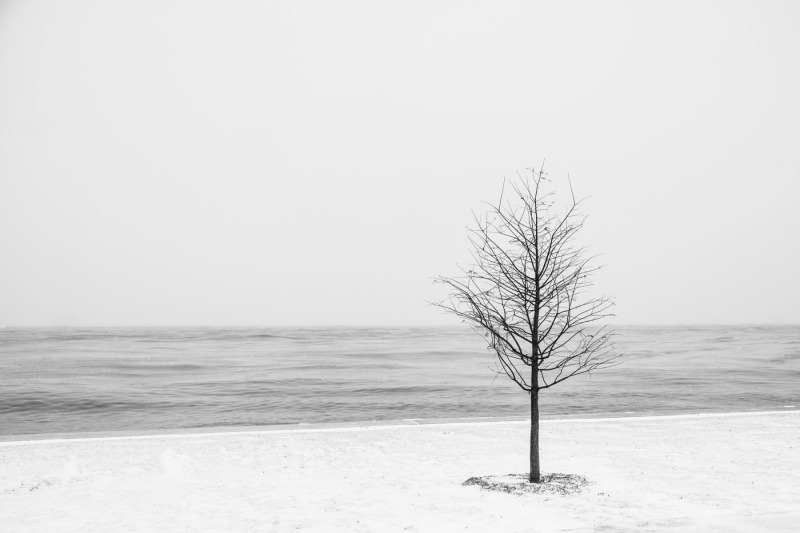 20180204FFDT22990703-5935303934321603245B902011330310225