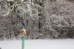 20101204GUMMOWPARKS0016