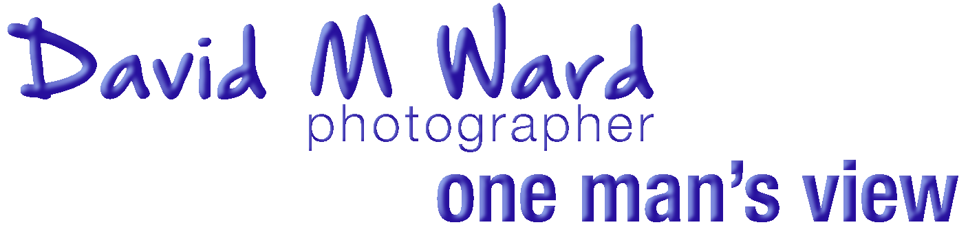 David Ward  |  Photographer